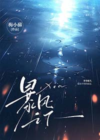 暴风之影啥水平