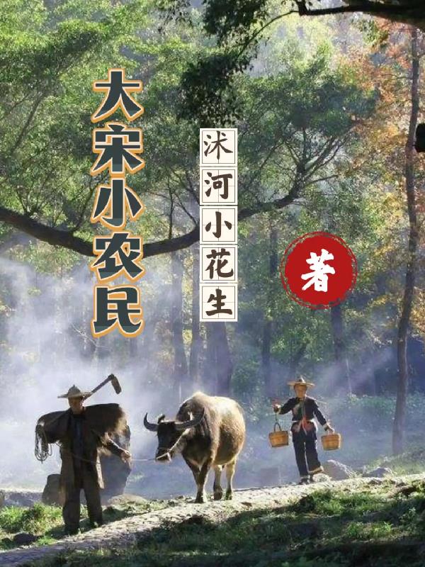 小说宋朝小农民